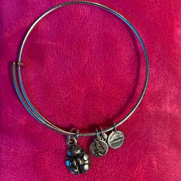 Alex and Ani Bracelet - Picture 1 of 1